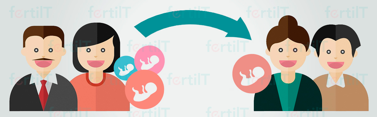 representación visual de embrioadopción