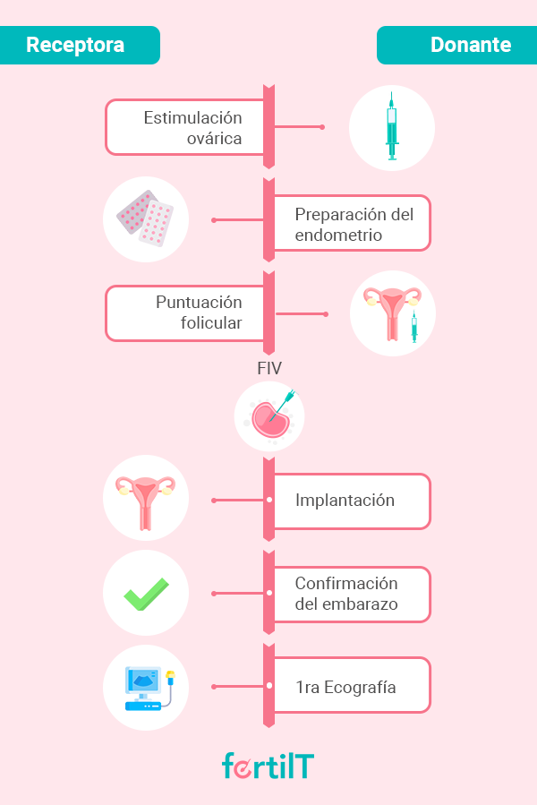 Proceso de donación de óvulos