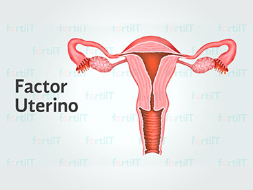 factor-uterino-destacada.jpg
