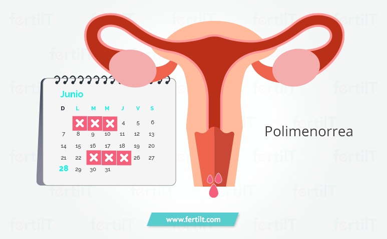 Ilustración de un calendario marcado las fechas de menstruación