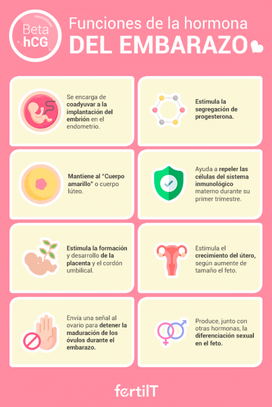 Gonadotropina coriónica humana la hormona del embarazo (betahCG) Gonadotropina coriónica humana la hormona del embarazo (betahCG)