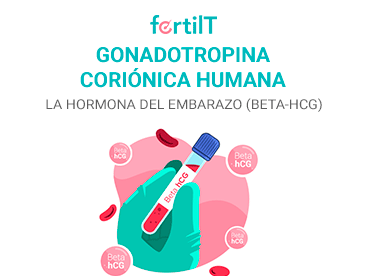 Portada de artículo Gonadotropina coriónica humana