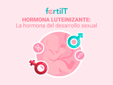 hormona-luteinizante-portada-mini.png