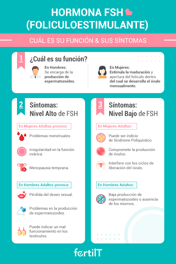 infografia de hormona foliculoestimulante