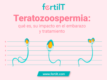miniatura-teratozoospermia.png