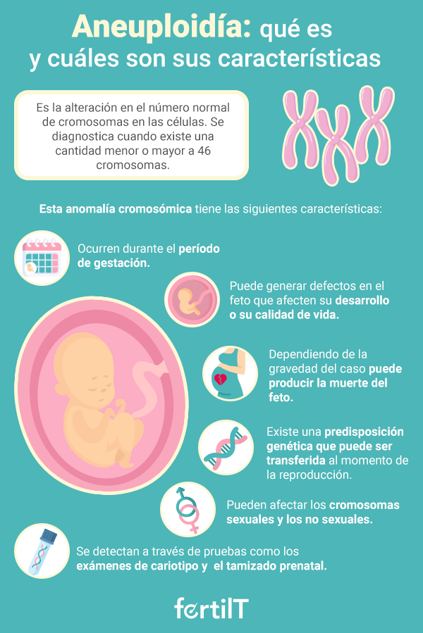 Infografía con definición de aneuploidía y sus características 