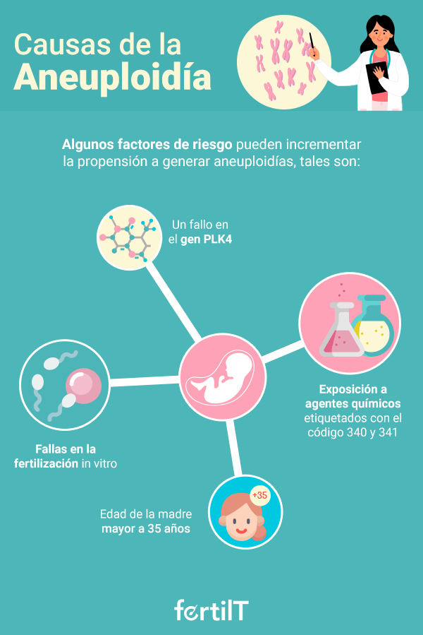 Infografía sobre las causas de la aneuploidía y factores de riesgo