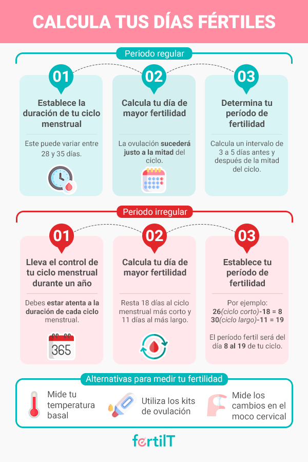 Infografía cómo calcular días fértiles 