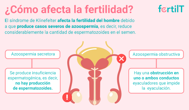 Infografía ¿Cómo afecta la fertilidad el síndrome de Klinefelter?