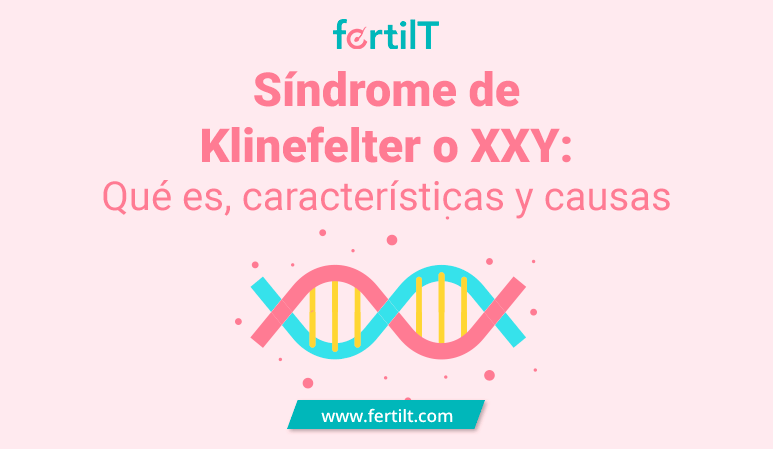 Síndrome de Klinefelter o XXY: Qué es, características y causas