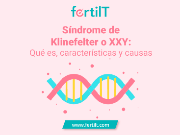 Portada de artículo Síndrome de Klinefelter o XXY: Qué es, características y causas