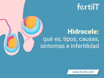 Portada de artículo Hidrocele, qué es, tipos, causas, síntomas e infertilidad