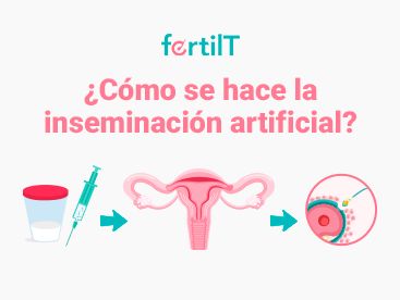Portada de artículo: ¿Cómo se hace la inseminación artificial?