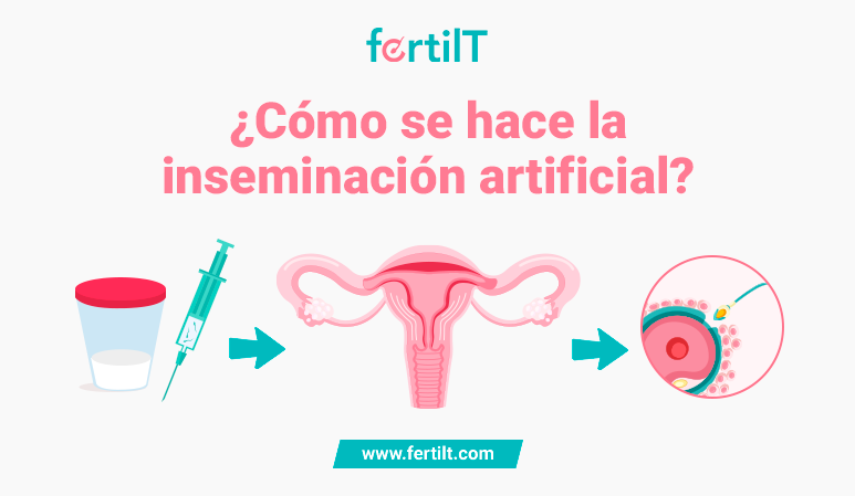 Portada de artículo: ¿Cómo se hace la inseminación artificial?