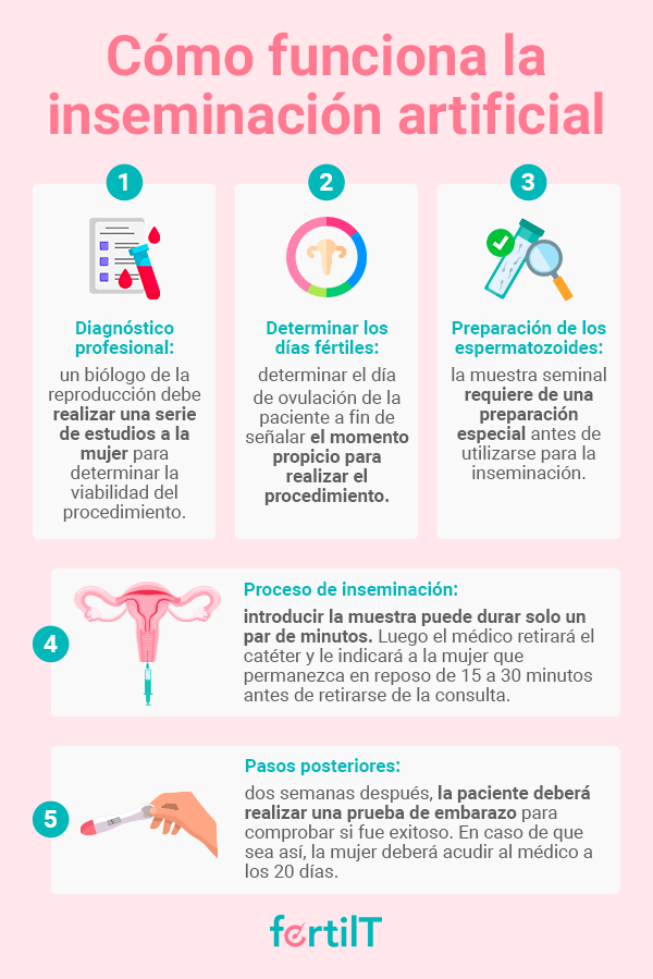Infografía sobre como funciona la inseminación artificial
