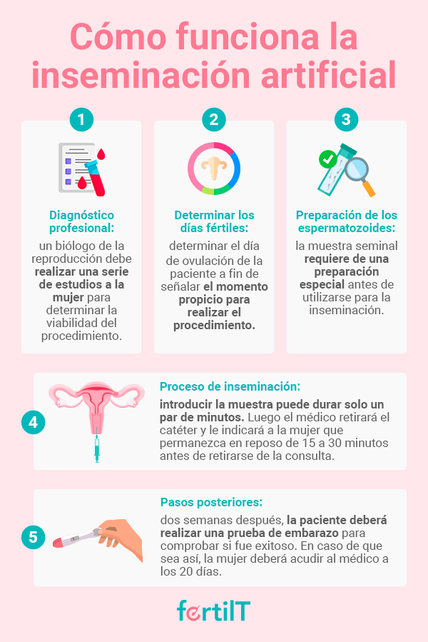 inseminacion artificial para mujer soltera