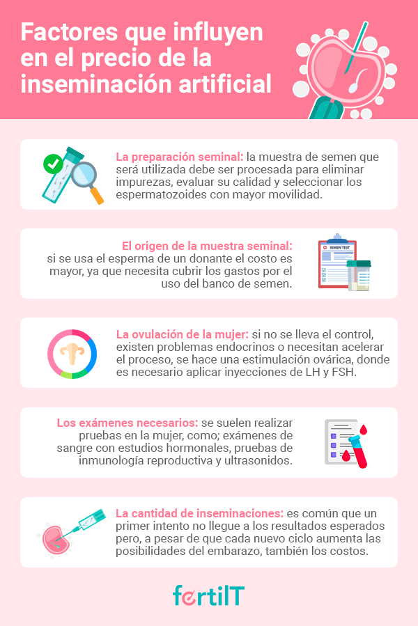 Infografía sobre los factores que influyen en el precio de la inseminación artificial