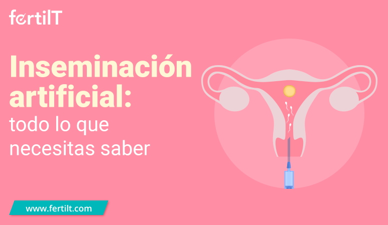 Inseminación artificial casera. Todo lo que debes saber - Blog de  Masquemedicos