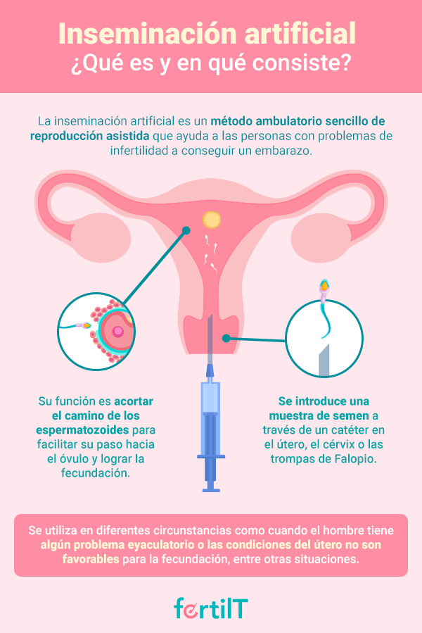 Infografía ¿Qué es la inseminación artificial?