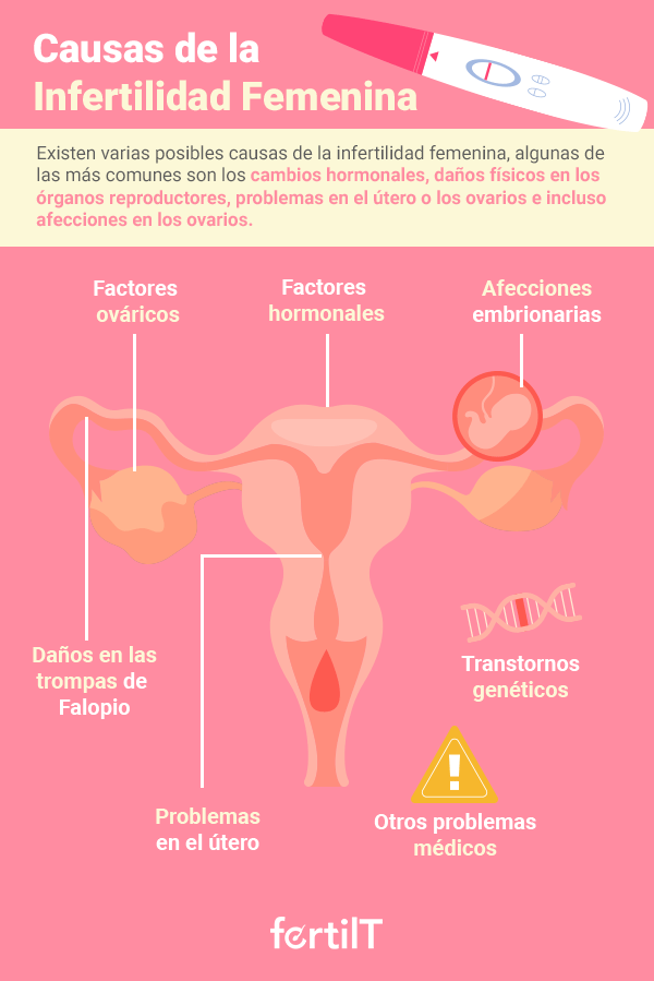 Infografía con las causas de infertilidad femenina, con fondo rosa y animación de un útero y una prueba de embarazo