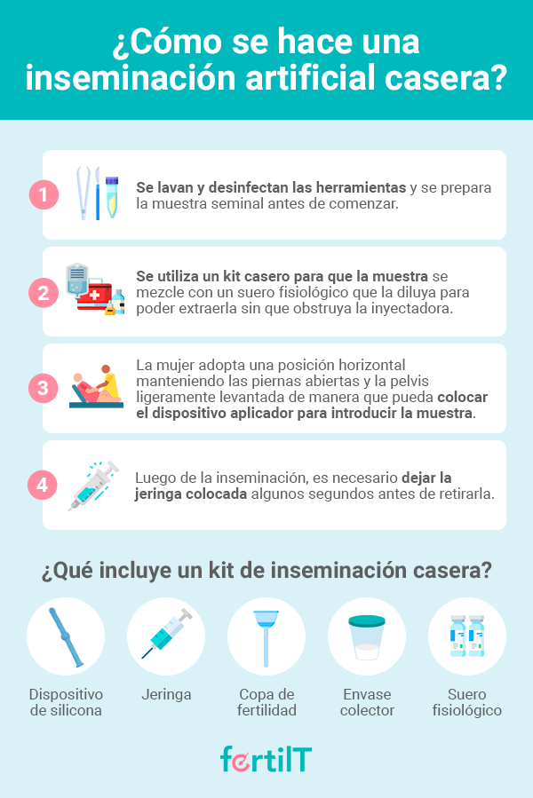 ¿Cómo se hace una inseminación artificial casera? Infografía