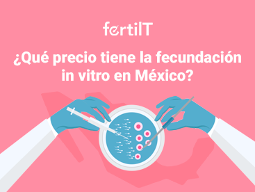 Portada de artículo: ¿Qué precio tiene la fecundación in vitro en México?