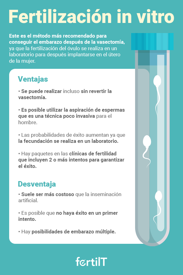 Infografía con las ventajas y desventajas de la fertilización in vitro