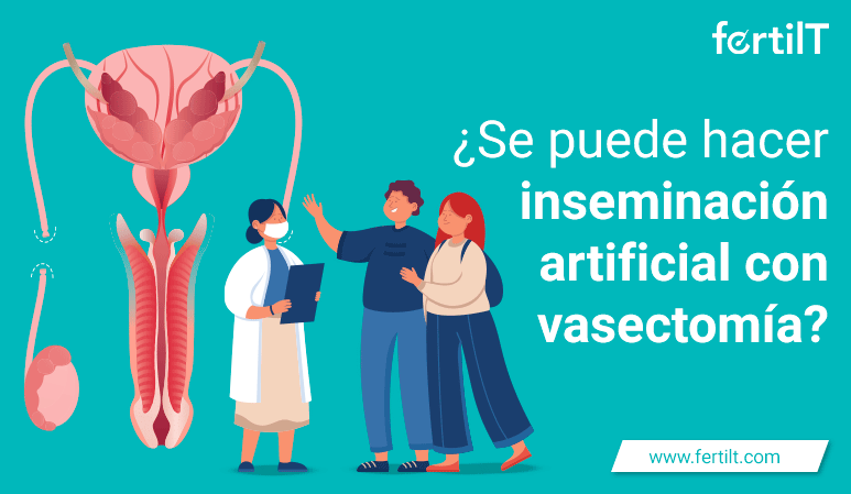 Portada de artículo: ¿Se puede hacer inseminación artificial con vasectomía?