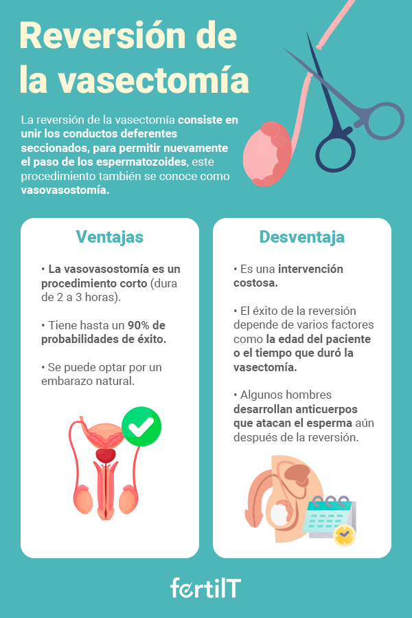 Infografía con las ventajas y desventajas de la reversión de la vasectomía