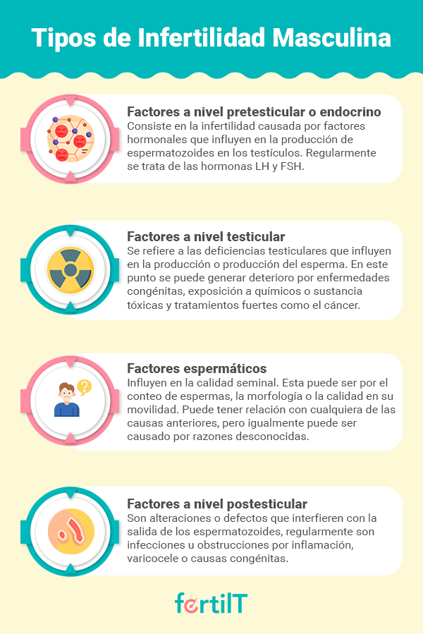 Infografía sobre los tipos de infertilidad masculina