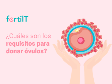 Imagen con animación de manos sosteniendo un óvulo como portada de artículo: ¿Cuáles son los requisitos para donar óvulos?
