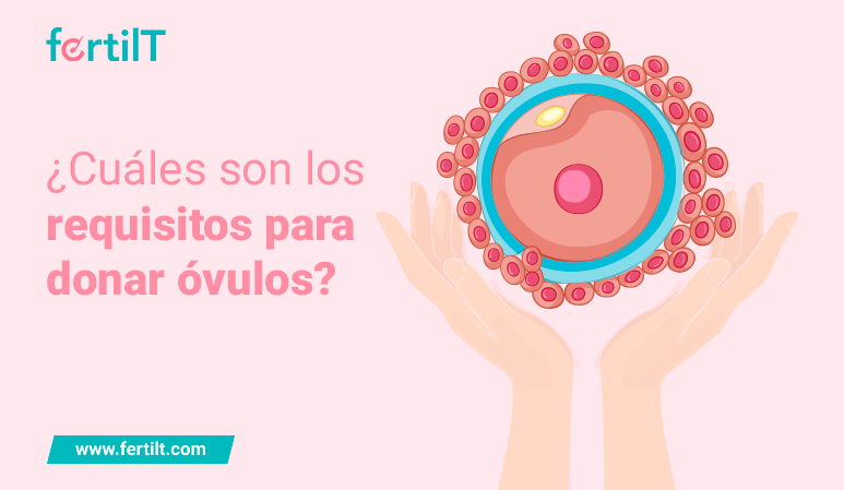 Imagen con animación de manos sosteniendo un óvulo como portada de artículo: ¿Cuáles son los requisitos para donar óvulos?