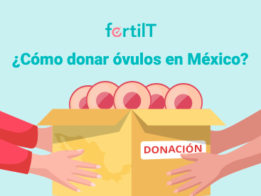 Portada de artículo con animación de persona entregando óvulos en una caja para donar