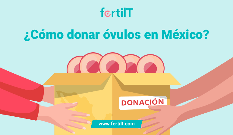 Portada de artículo con animación de persona entregando óvulos en una caja para donar