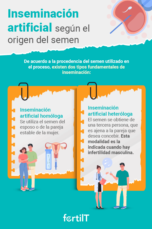 Infografía con los tipos de inseminación artificial según el origen del semen