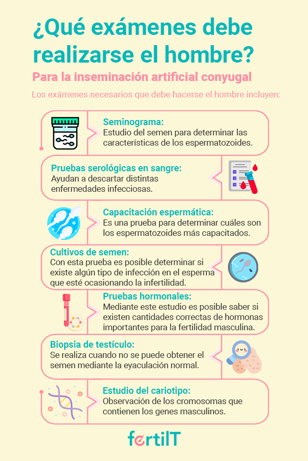 Exámenes que debe realizarse el hombre para realizar una inseminación artificial conyugal