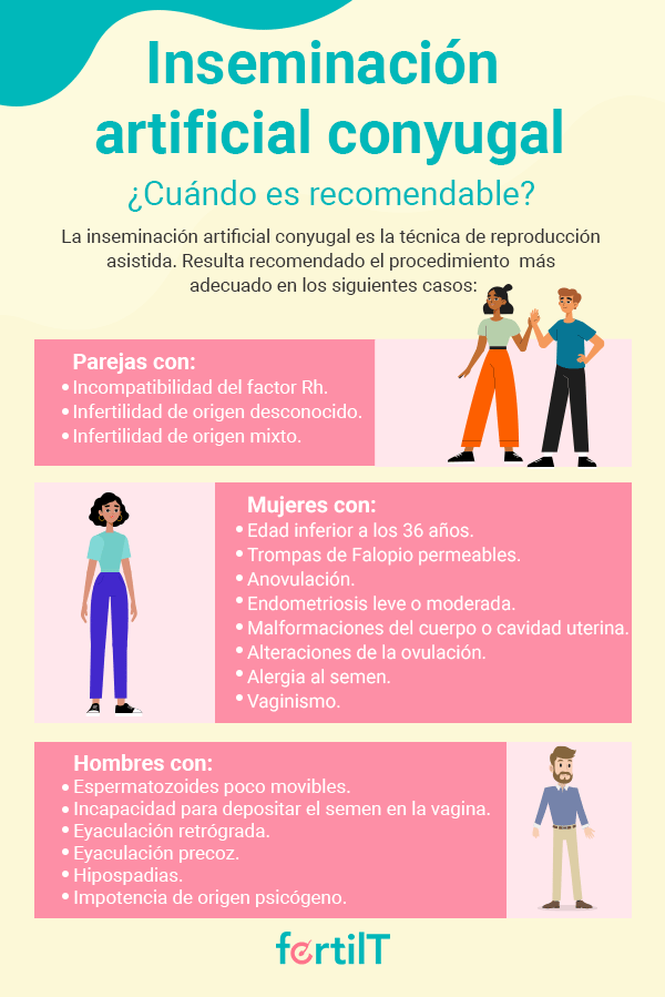 Infografía Inseminación artificial conyugal con información sobre cuando es recomendable realizarla