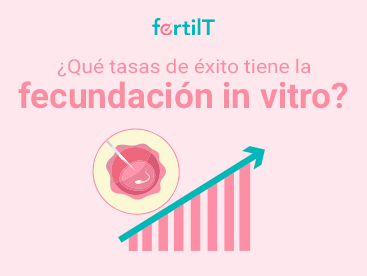 Imagen de portada de las tasas de éxito de la fecundación in vitro