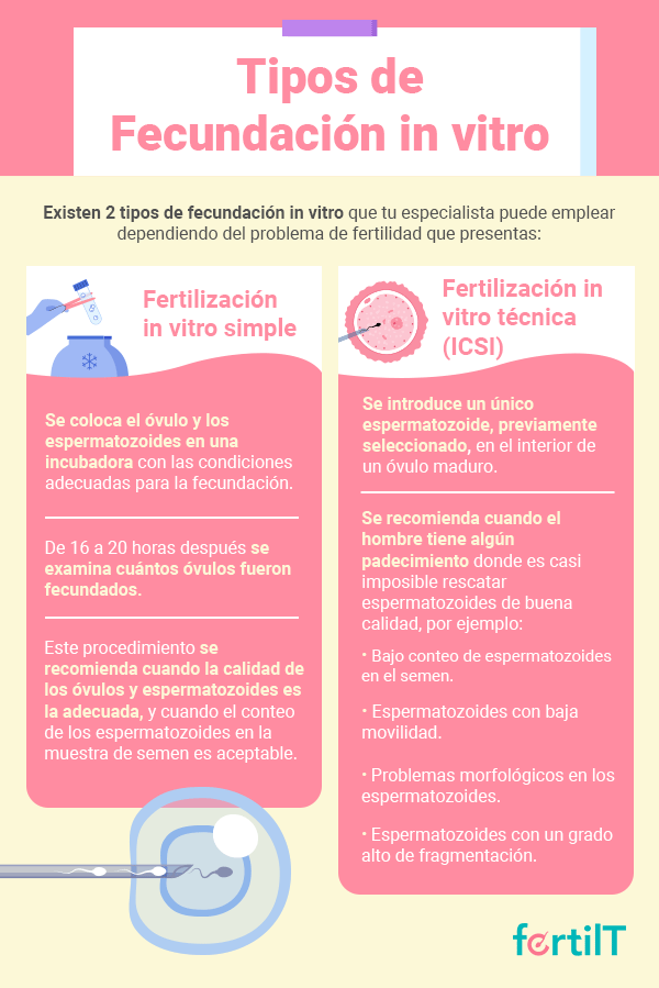 Infografía de los tipos de fecundación in vitro 