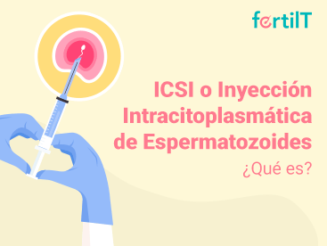 Imagen destacada del artículo ICSI o inyección intracitoplasmática de espermatozoides