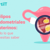 Imagen miniatura del artículo Pólipos endometriales o uterinos todo lo que necesitas saber