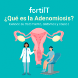 Portada mini del artículo Qué es adenomiosis