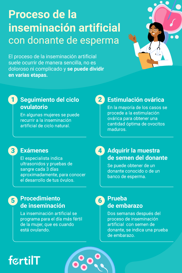 Infografía con los pasos de la inseminación artificial con donante