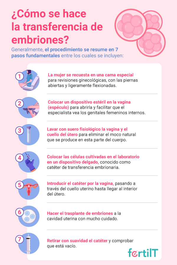 Infografía donde se explican los pasos de la transferencia de embriones