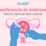 Portada mini del artículo Transferencia de embriones: Qué es, cómo se hace y precio
