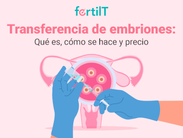 https://www.fertilt.com/wp-content/uploads/2023/06/transferencia-de-embriones-que-es-como-se-hace-y-precio-portada-miniatura.png