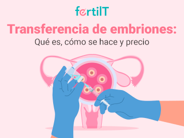 Portada mini del artículo Transferencia de embriones: Qué es, cómo se hace y precio