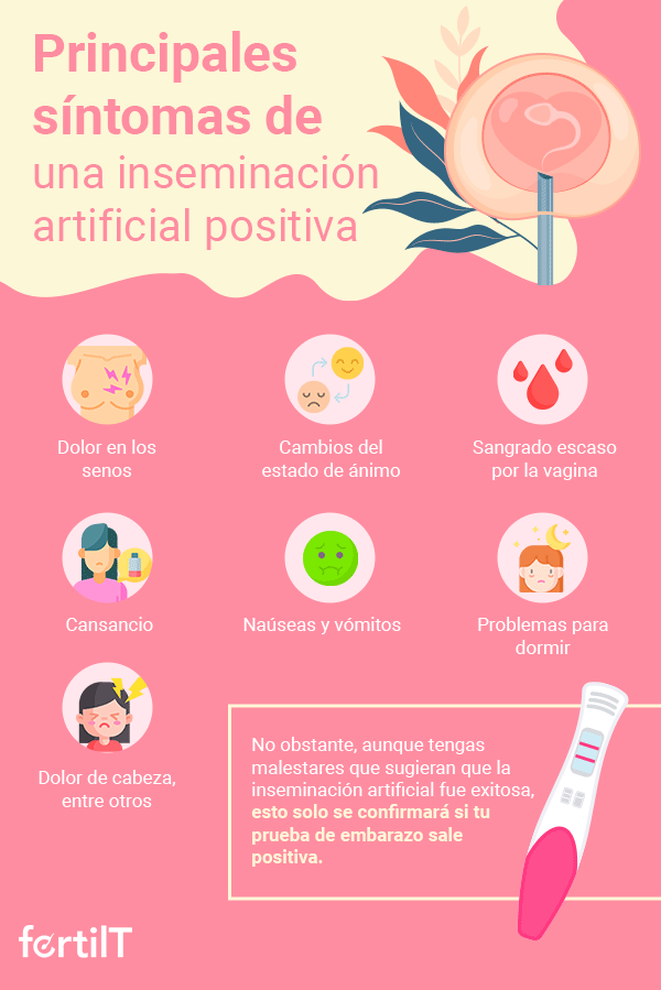 Infografía con los principales síntomas de una inseminación artificial positiva