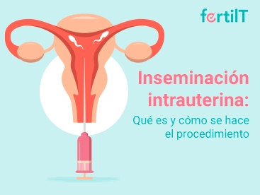 https://www.fertilt.com/wp-content/uploads/2023/12/inseminacion-intrauterina-miniatura.webp
