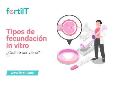 https://www.fertilt.com/wp-content/uploads/2023/12/tipos-de-fecundacion-in-vitro-portada-miniatura.webp